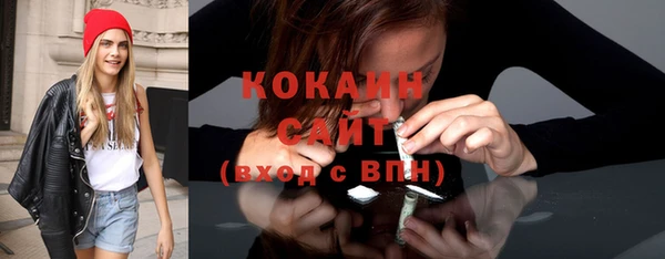 mix Ельня