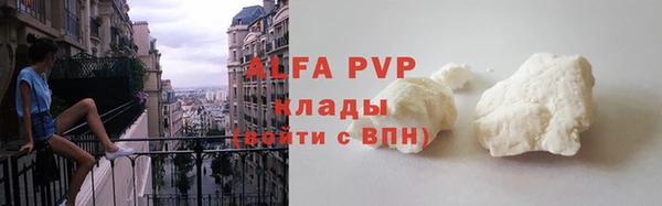 ПСИЛОЦИБИНОВЫЕ ГРИБЫ Дмитриев