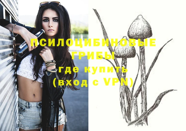 Альфа ПВП Горняк