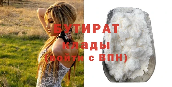 ПСИЛОЦИБИНОВЫЕ ГРИБЫ Дмитриев