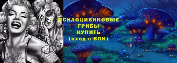не бодяженный Дмитровск