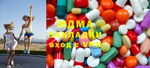 ПСИЛОЦИБИНОВЫЕ ГРИБЫ Дмитриев
